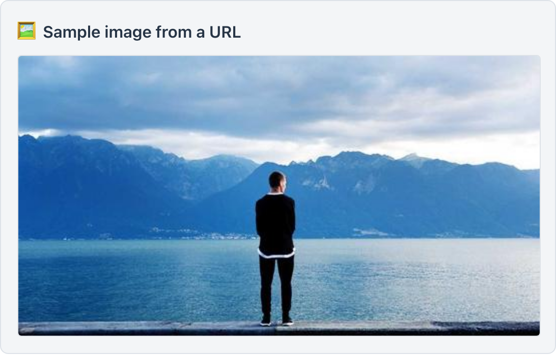 A showImage card embedding an image from a URL